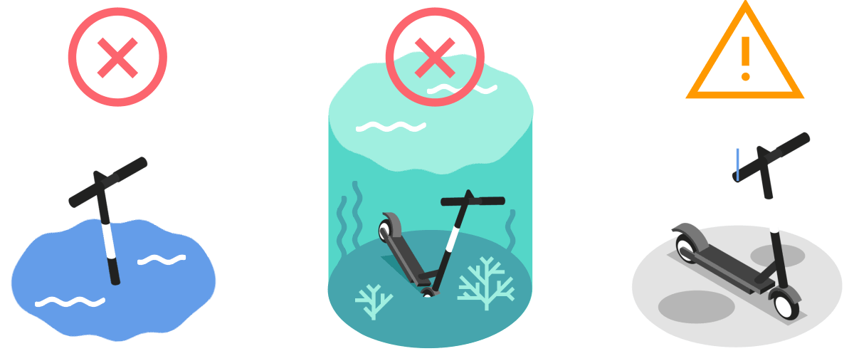 BIRD_Submerged_All__1_.gif